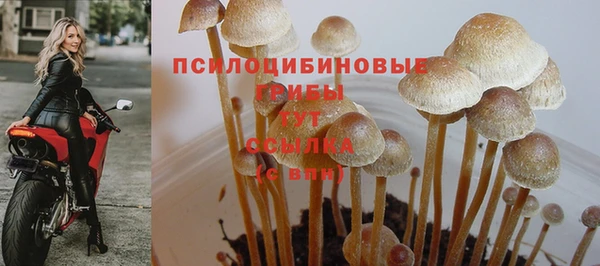 соль ск Алзамай