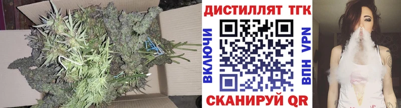 ТГК концентрат кракен зеркало Новомичуринск