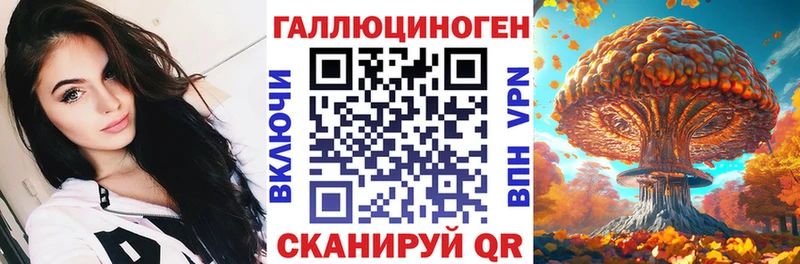 KRAKEN зеркало  Новомичуринск  Псилоцибиновые грибы GOLDEN TEACHER  как найти закладки 